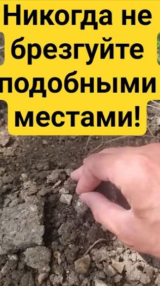 Камрады! Никогда не брезгуйте подобными местами! #shorts #metaldetecting #находки #коп #монеты