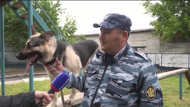 Кинологическая служба Управления по конвоированию УФСИН России по Тюменской области