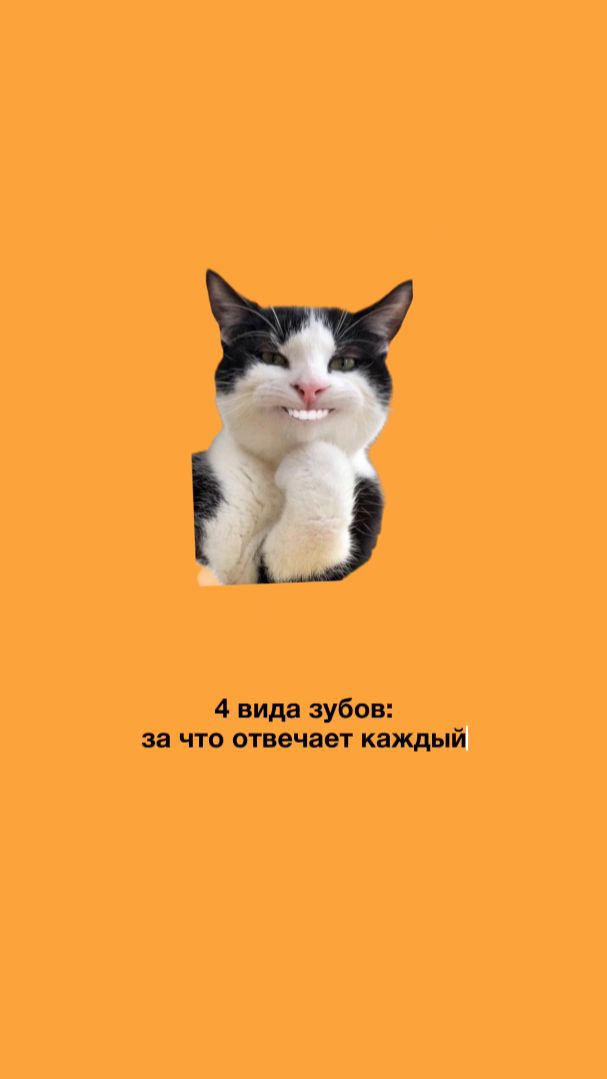 4 ВИДА ЗУБОВ: 90% людей не знают, за что отвечает каждый из них