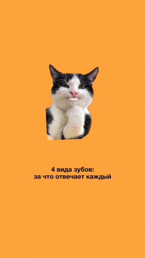4 ВИДА ЗУБОВ: 90% людей не знают, за что отвечает каждый из них