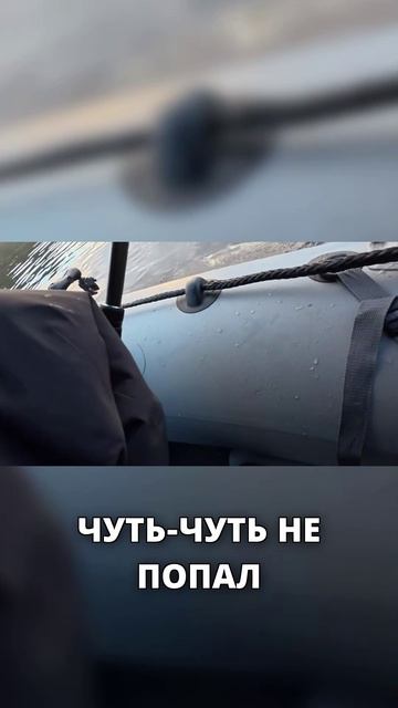Щука КРОКОДИЛ 4,6 кг