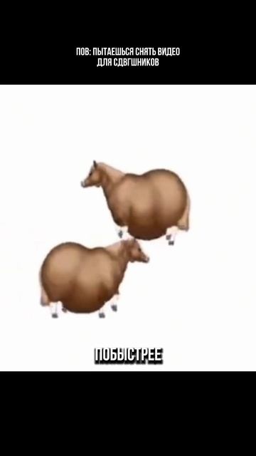 Запомнили аккорды?🧐🤔