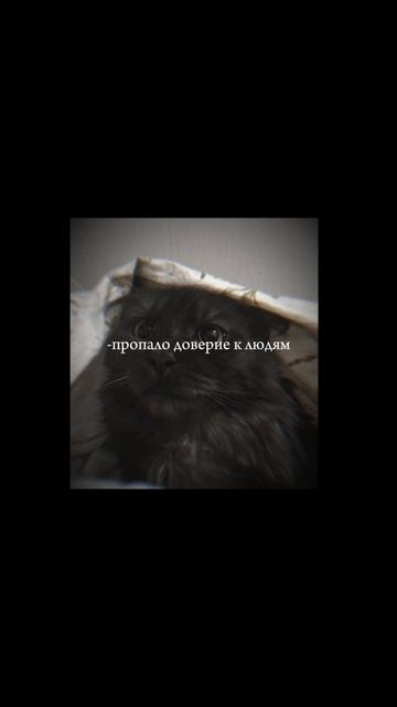 прости, что я не смогла тебя уберечь..