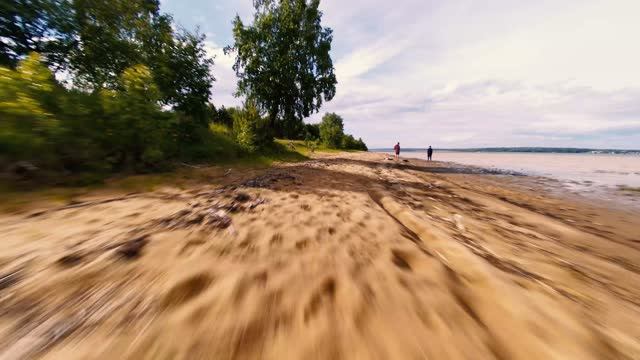 Novogrudinina