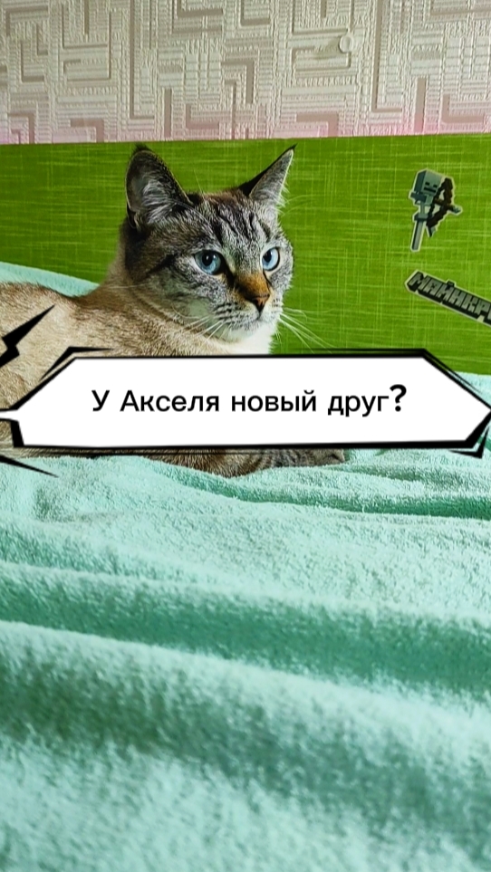 🧐🙀🤨 У Акселя новый друг??! 😯🤔😉