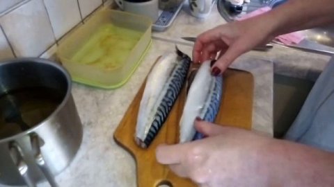Как засолить скумбрию в домашних условиях.