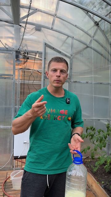 НАТУРАЛЬНОЕ ДЕШЕВОЕ СРЕДСТВО ОТ ТЛИ!