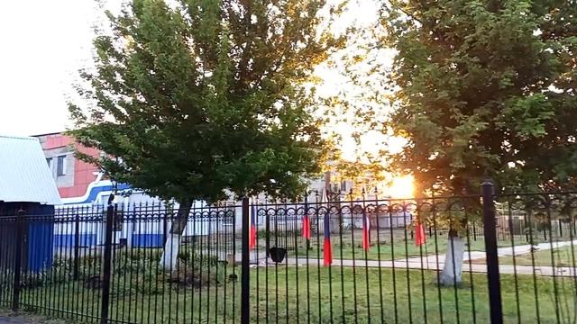 утренняя прогулка по  Таловой 21-06-2026