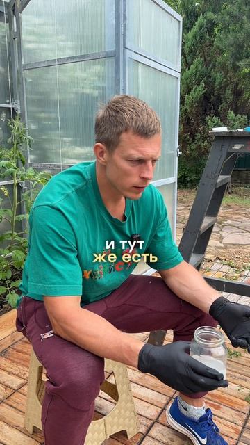 ОТРАВА ОТ МУРАВЬЕВ