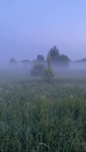 Ежик потерялся в тумане