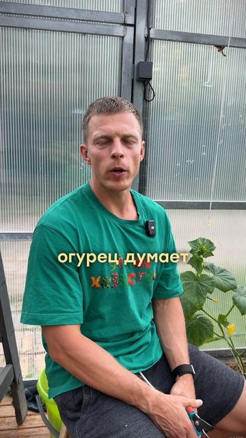 МИФЫ ПРО ВЫРАЩИВАНИЯ ОГУРЦА