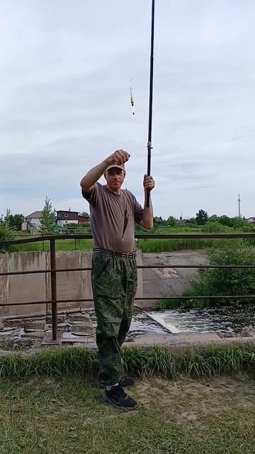 С ДОБРЫМ УТРОМ !