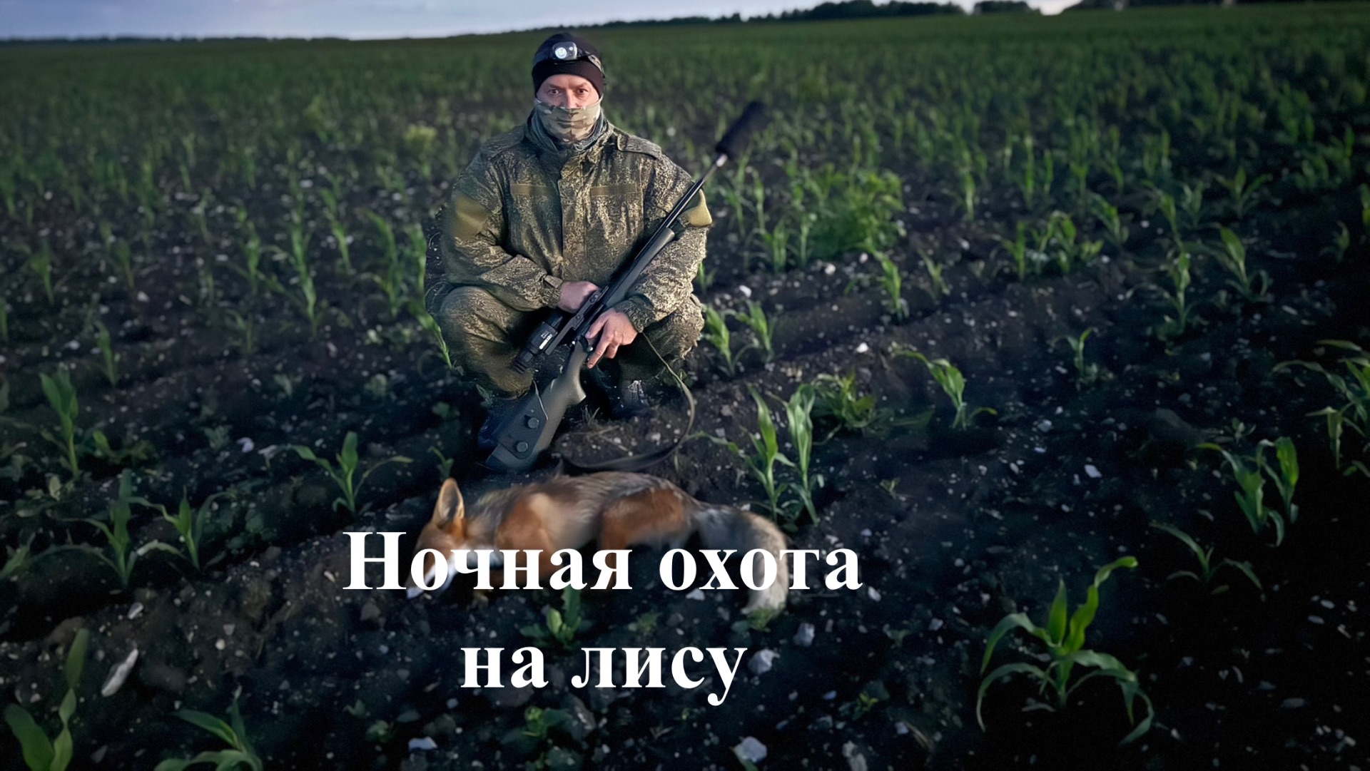 Ночная охота на лису