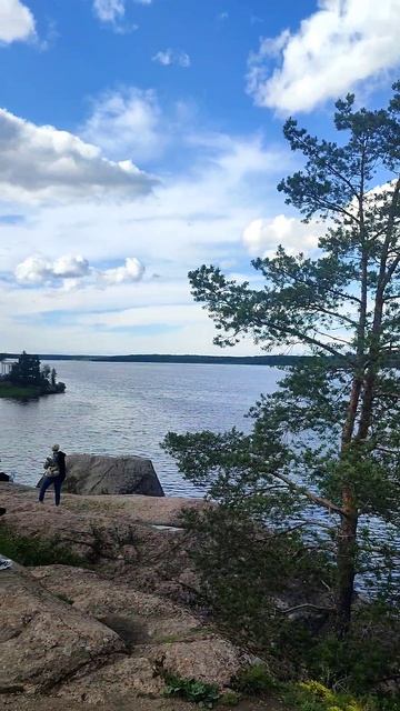 Парк Монрепо в Выборге