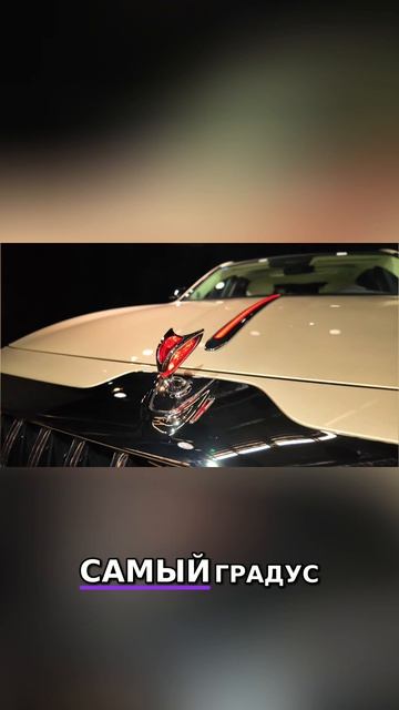 HONGQI GUOYA_ Связь Неба и Земли