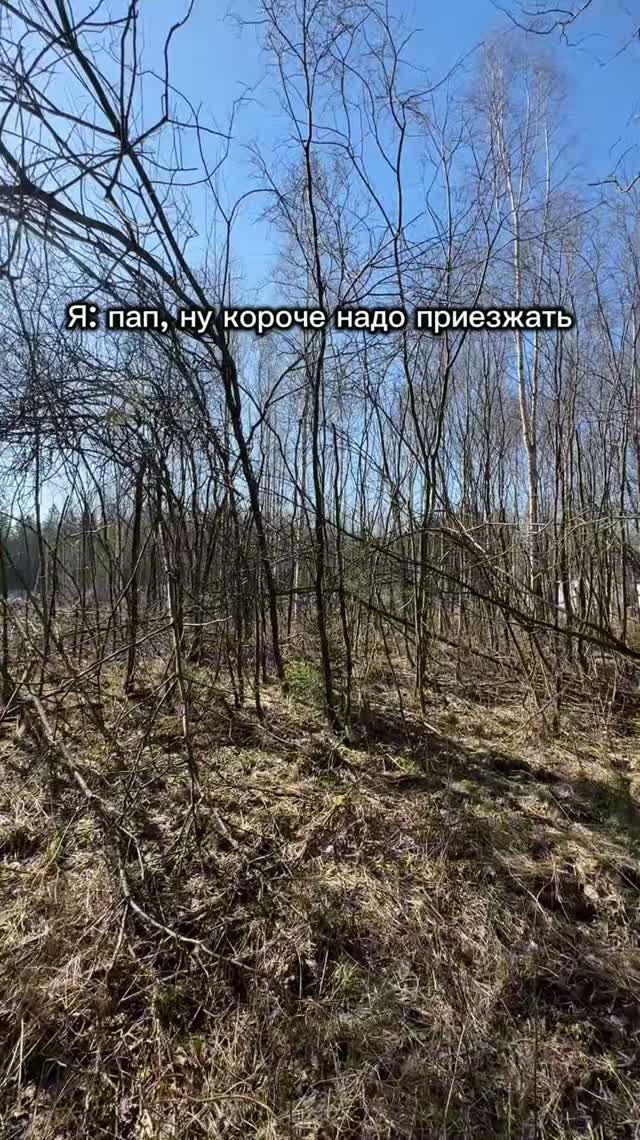 Пап, короче надо приезжать
