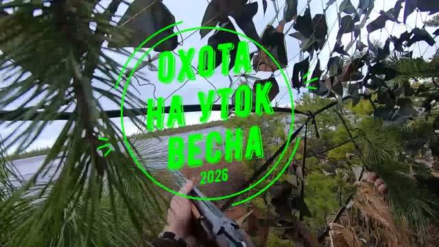 Охота на уток. Весна 2026.