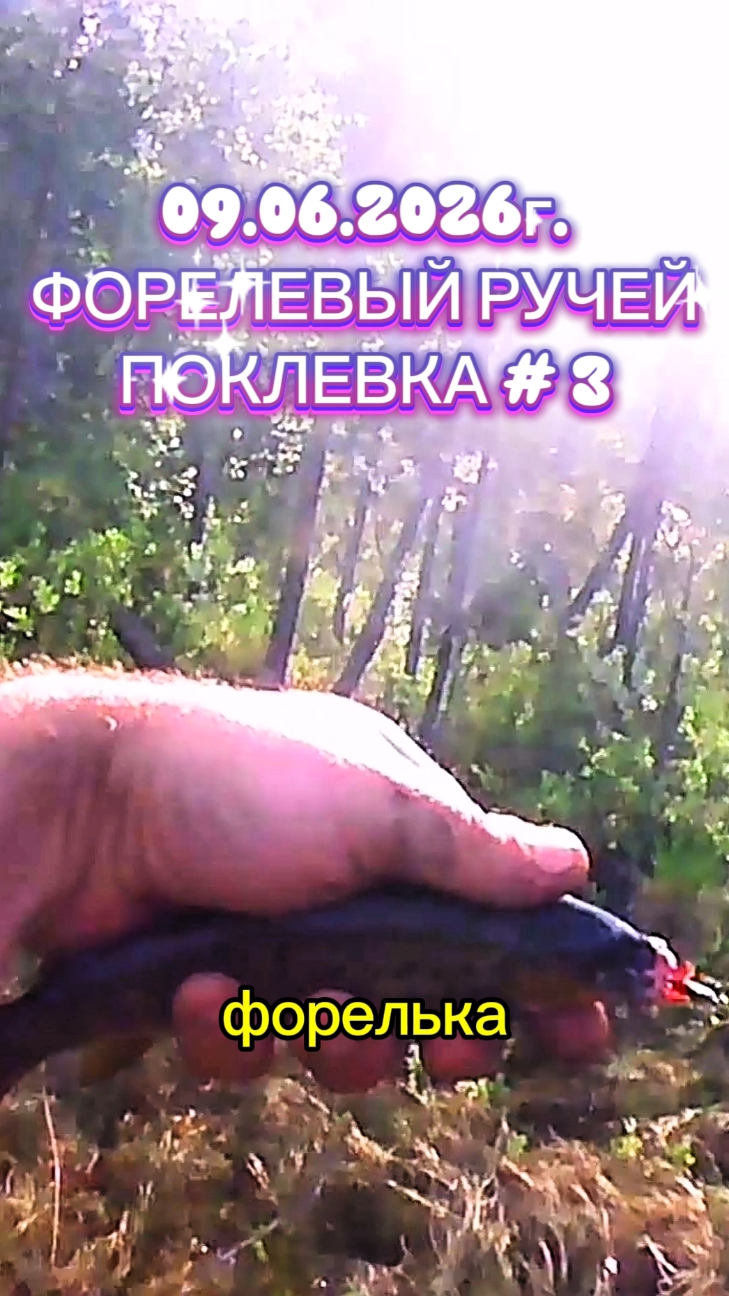 ФОРЕЛЕВЫЙ РАЙ! ПОКЛЁВКА НОМЕР 3. 09.06.2026Г. #рыбалка #fishing #ручей #форель #природа