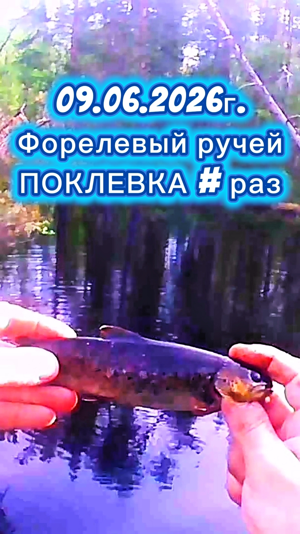 ФОРЕЛЕВЫЙ РАЙ! ПОКЛЁВКА НОМЕР РАЗ. 09.06.2026Г. #рыбалка #fishing #ручей #форель #природа