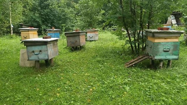 Ураган и нас не обошел стороной .