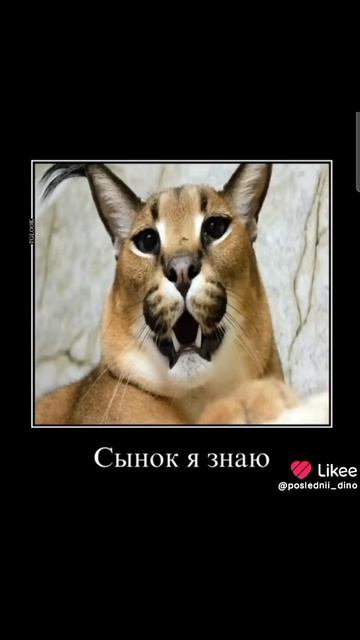 #ХоЛоДилЬНиК