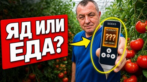Ткнул нитрат-тестером в томат прямо на кусте! ШОКИРУЮЩИЙ результат