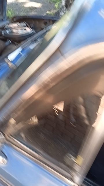 Как заводятся 