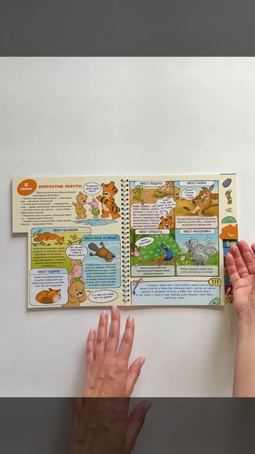 Интерактивная книга на пружине 