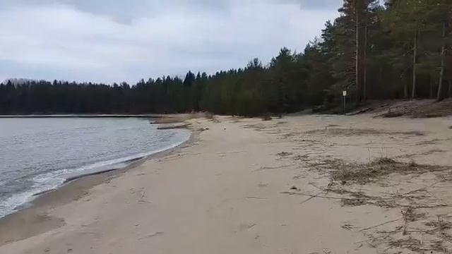 Песчаные пляжи острова Кайонсаари в Карелии