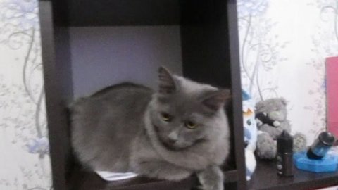 24 июня Дымка