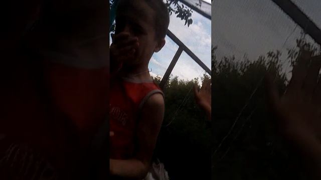 Я с Яриком гуляю. (часть 1)