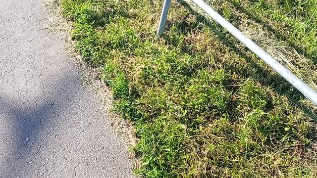 Посмотрев это видео у Вас будет доброе утро, удачный день, и всё будет просто замечательно!