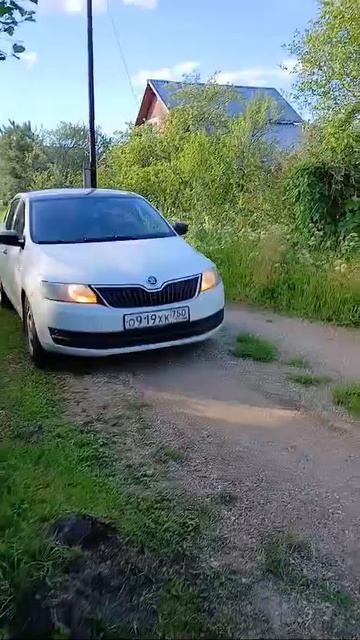 1000101771.mp4