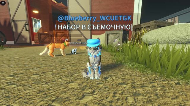 НАБОР В СЪЕМОЧНУЮ!!!
