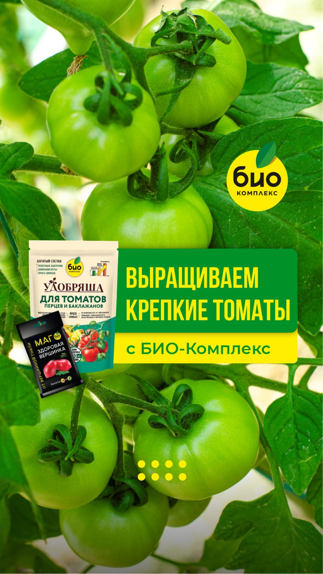 Выращиваем крепкие томаты с БИО-Комплекс