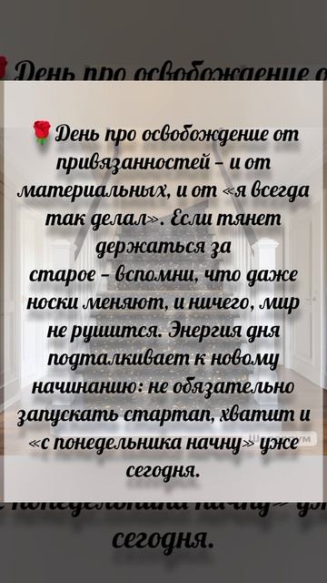 Квантовый прогноз на сегодня.
