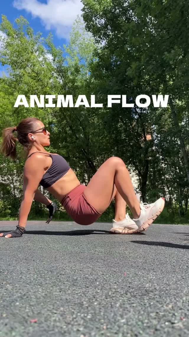 Animal flow