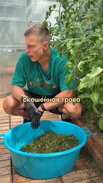 Эта мульча повысит урожай — 100%