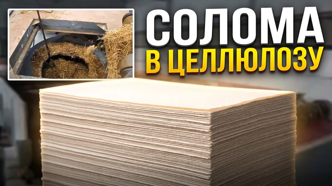 Оборудование для переработки соломы в целлюлозу. Китай #солома  #целлюлоза #китай