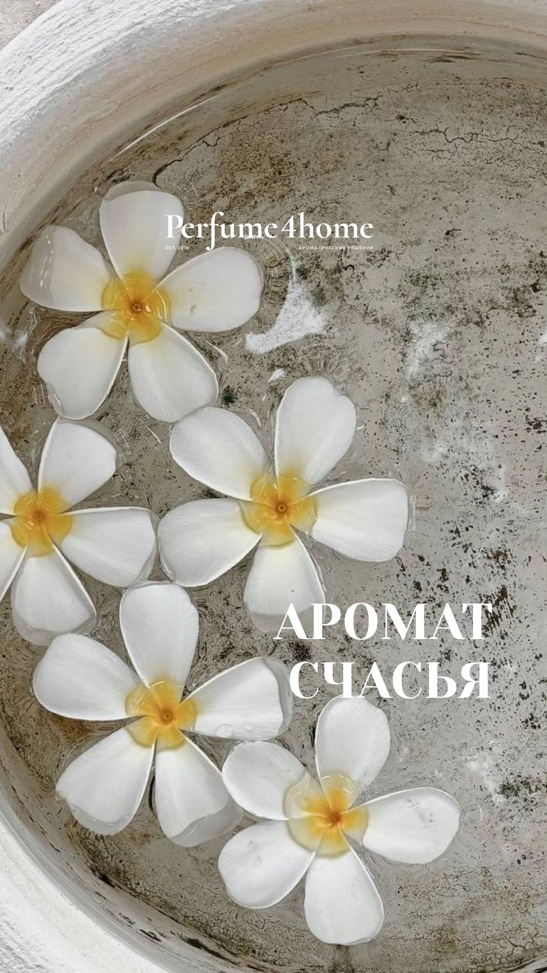 Ароматы счастья Vila Hermanos