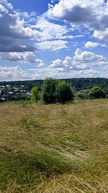 Хорошо в деревне 26.06.2026.