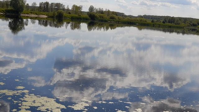 КАРАСЕВЫЙ ВОДОЕМ. ПРУД ПОГОДА ЖАРА. РЫБАКИ НА ЛОДКАХ.