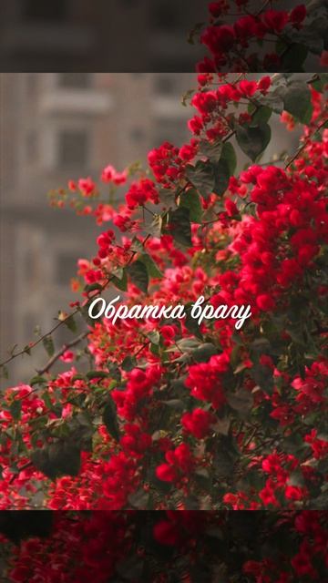 Отвязаться от врага и наказать его