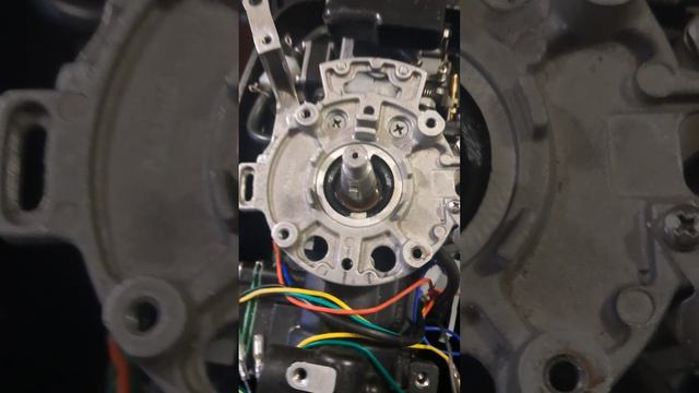 1000032399.mp4