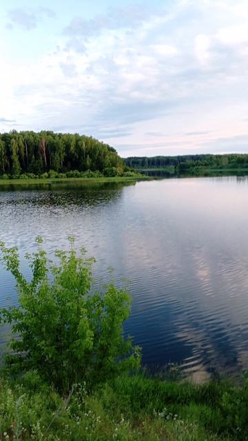 Вечер на берегу реки.