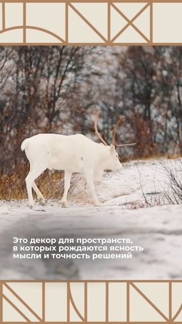 Сливочный нежный декор для вашей мебели — ЛДСП Lamarty «Луно»