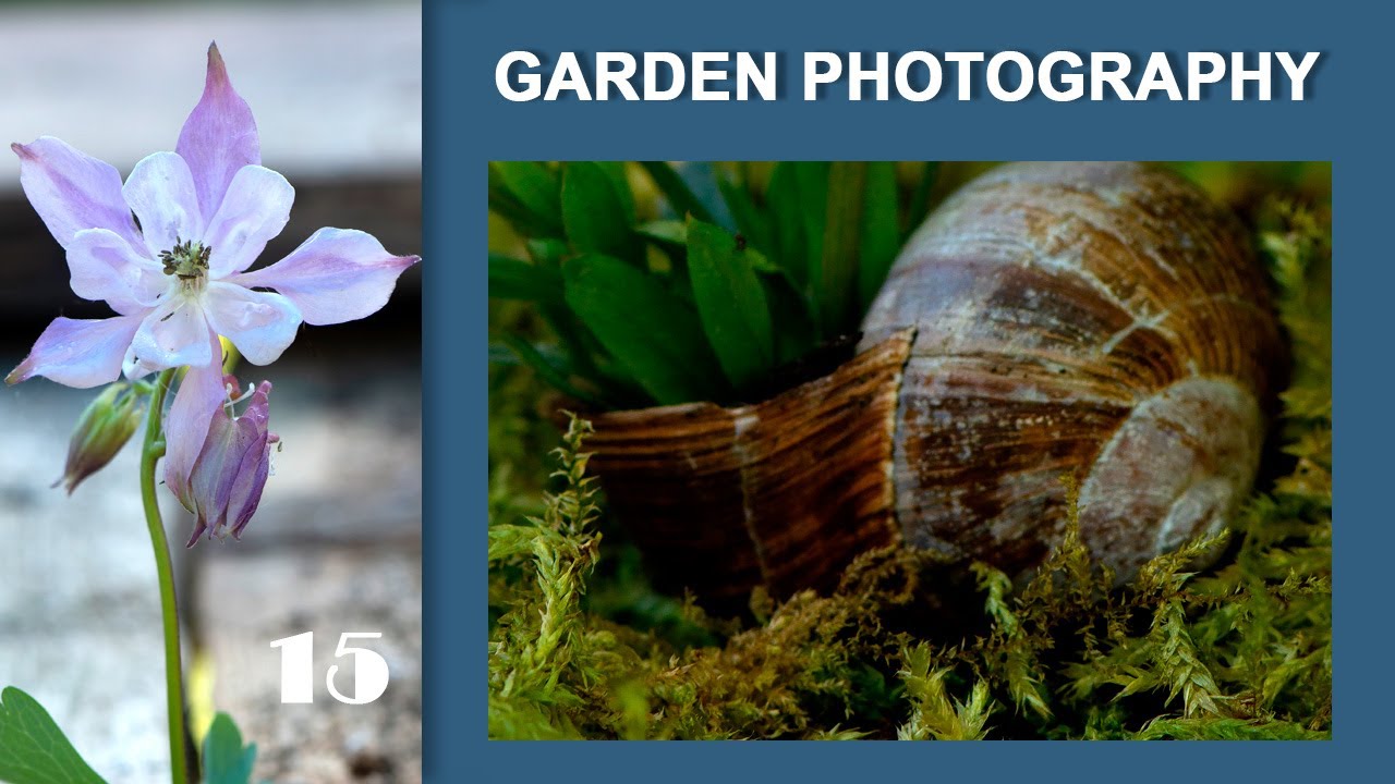 15.Garden Photography. ДачаФото.