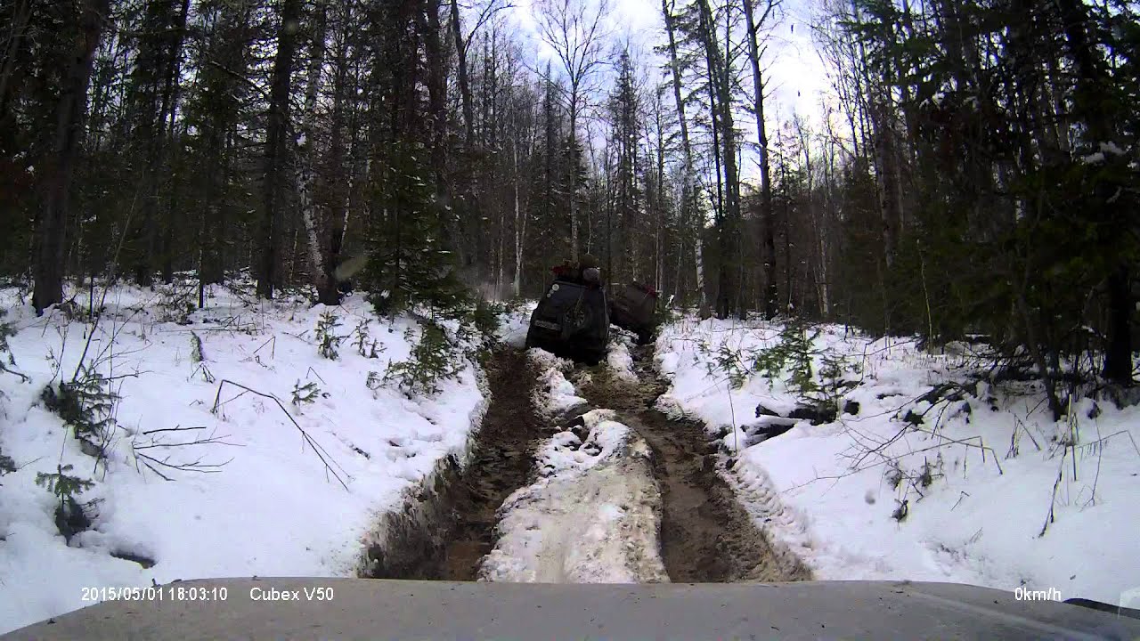 Переворот Эскудика