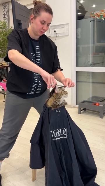 Клиент серьёзный. Просил “только кончики” 😄