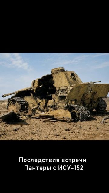 Пантера встретилась с ИСУ-152